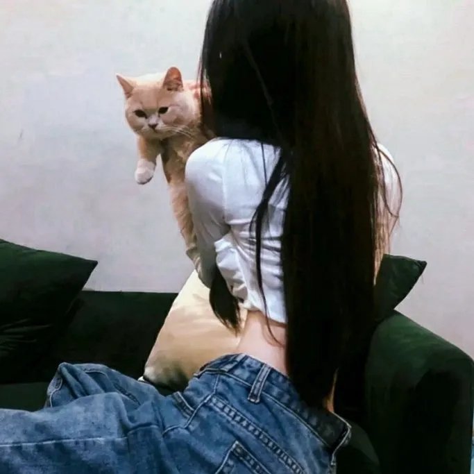 克莱尔的秘密封面
