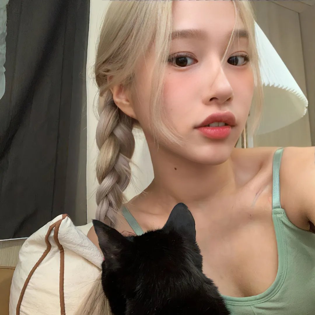 愿妻如蔷薇封面