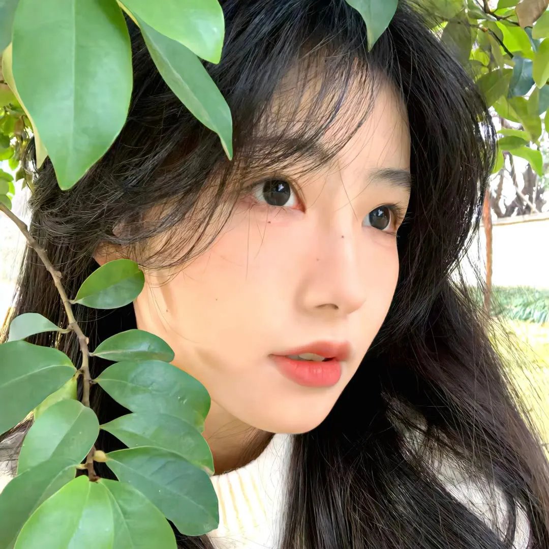 人间规则封面